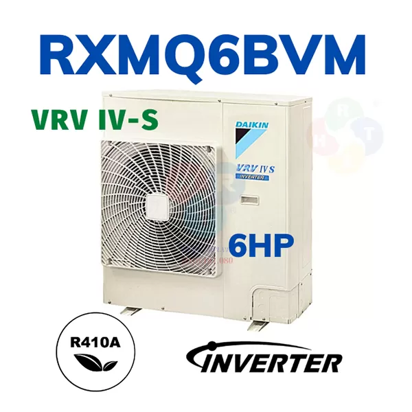 RXMQ6BVM